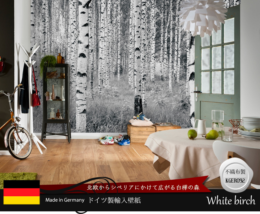 ドイツ製壁紙【XXL4-023】White birch ホワイトバーチ